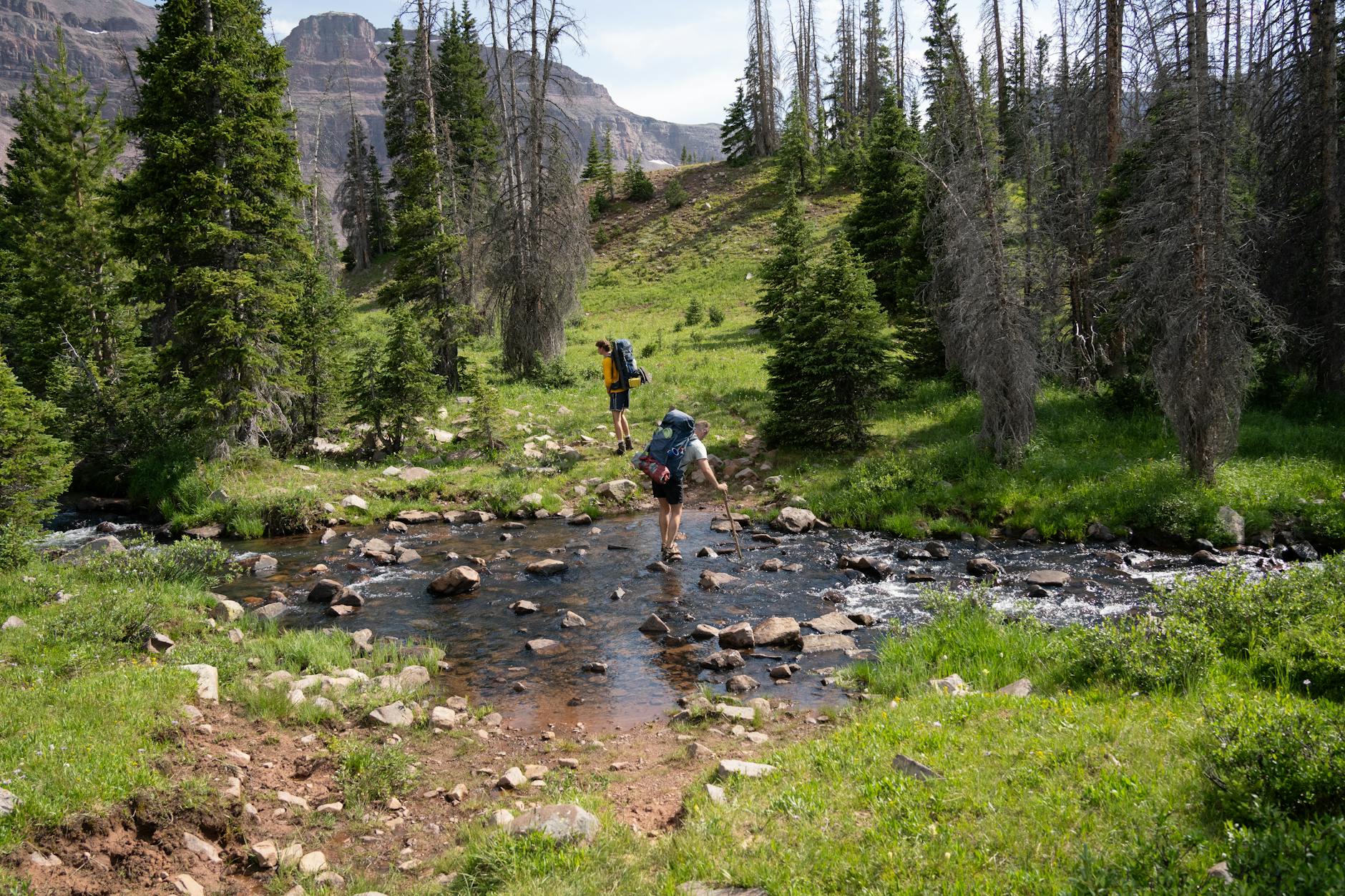 Wyprawa nad górską rzekę: bezpieczeństwo w nurcie i zasady brodzenia Dwóch turystów brodzących przez górski strumień w lesie